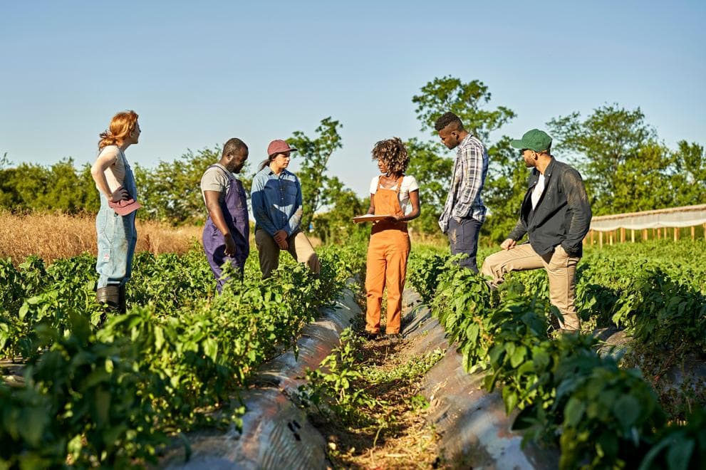 A successful partnership with Agricolt